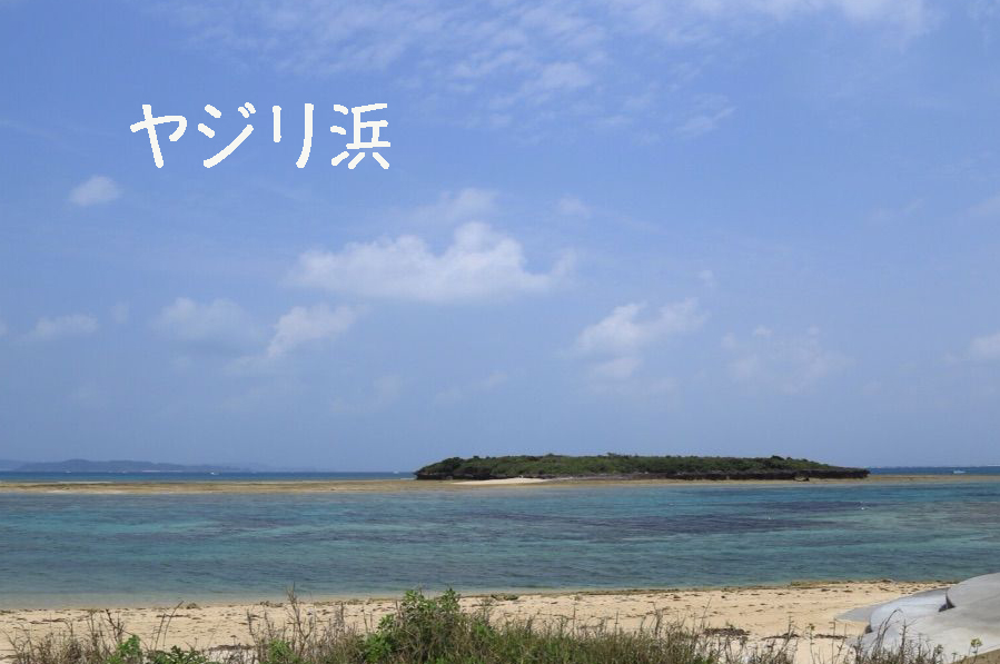 ヤジリ浜北