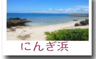 恩納村シュノーケル